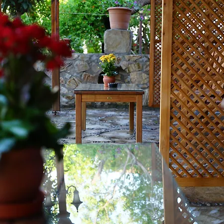 Hotel Piano - Adults Only *