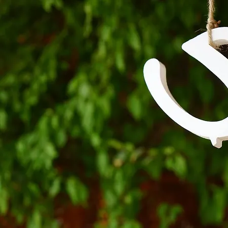 Hotel Piano - Adults Only Selimiye (Aegean)