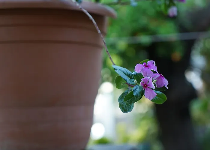 فندق Piano - Adults Only